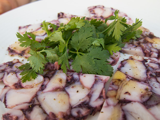 Café Trama - Carpaccio de poulpe