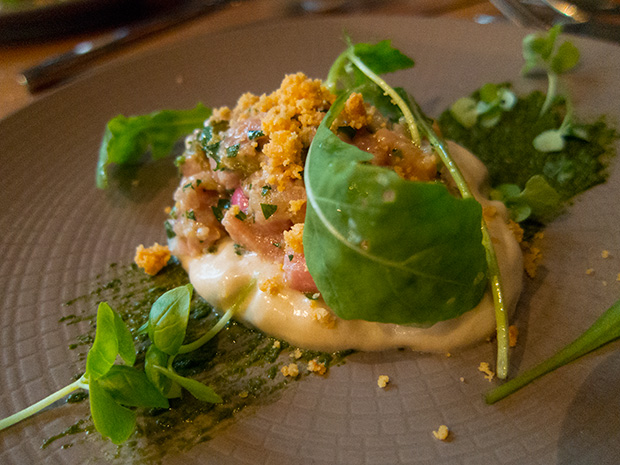 Pierre Sang - Atelier Gambey - Tartare de veau, crème d'anchois et sésame noir, roquette, crumble de parmesan, pesto, jeunes pousses de basilic, câpres