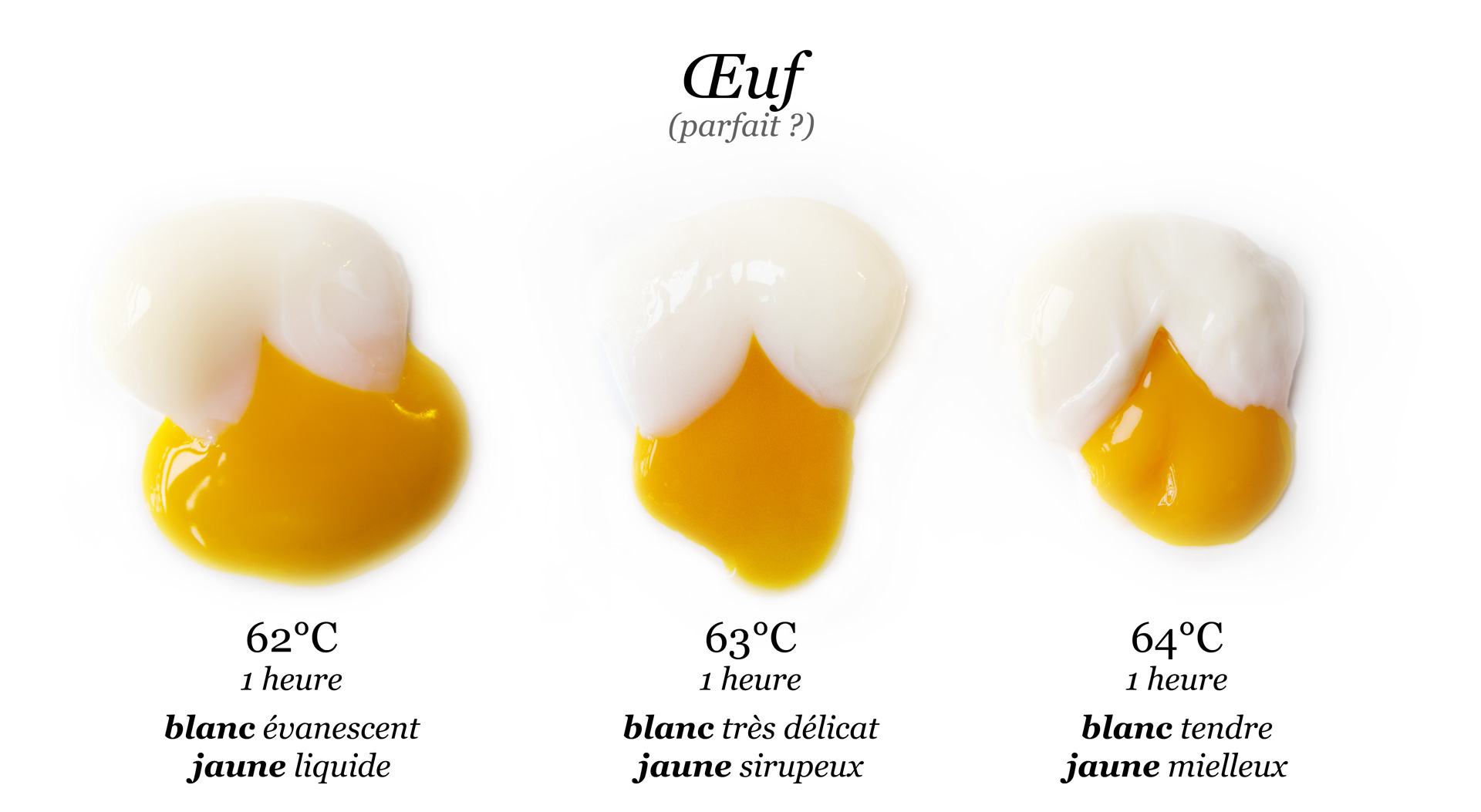 La cuisson (sous vide) à juste température - Comparaison d'un rôti de bœuf au four et cuit à juste température - Oeuf parfait