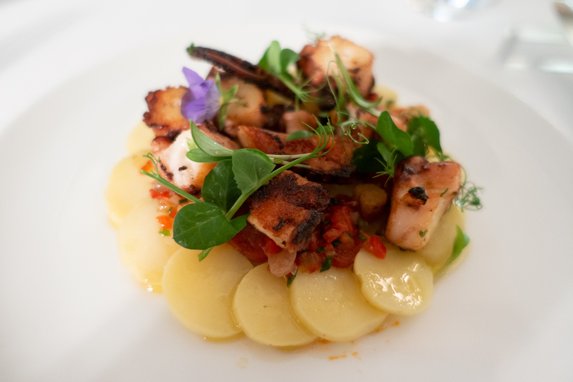 The Marcel - Poulpe de roche grillé à la plancha, fines tranches de pomme de terre ratte juste tiédies, chorizo ibérique et vinaigrette aux piquillos