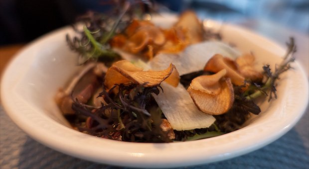 La Prohibition - Gésiers de Canard confits, quinoa et Pommes de Terre Grenailles